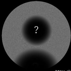 Meet your Posher, Jayleen